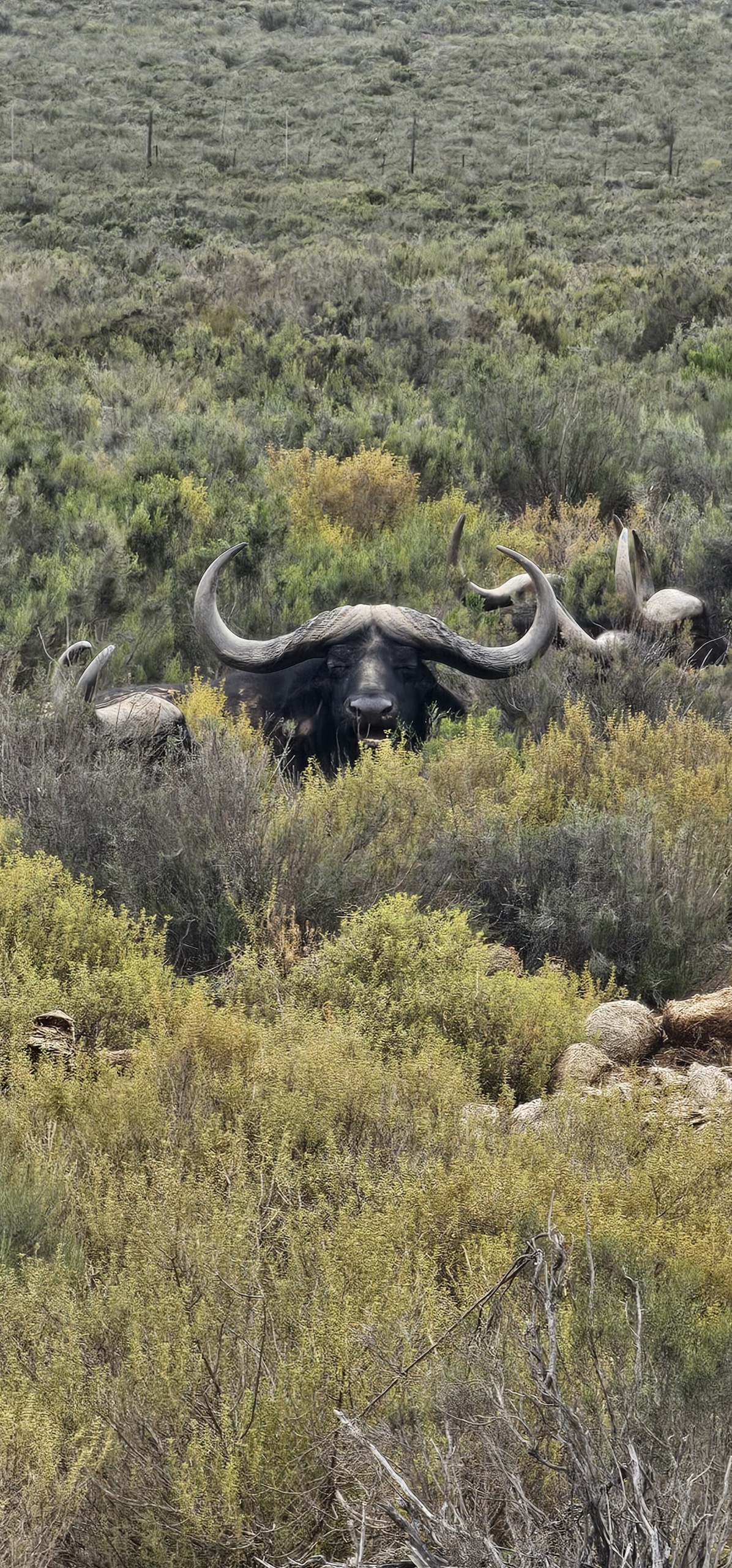 50329ee8-870e-4a3a-9143-b9dd2e5acdef