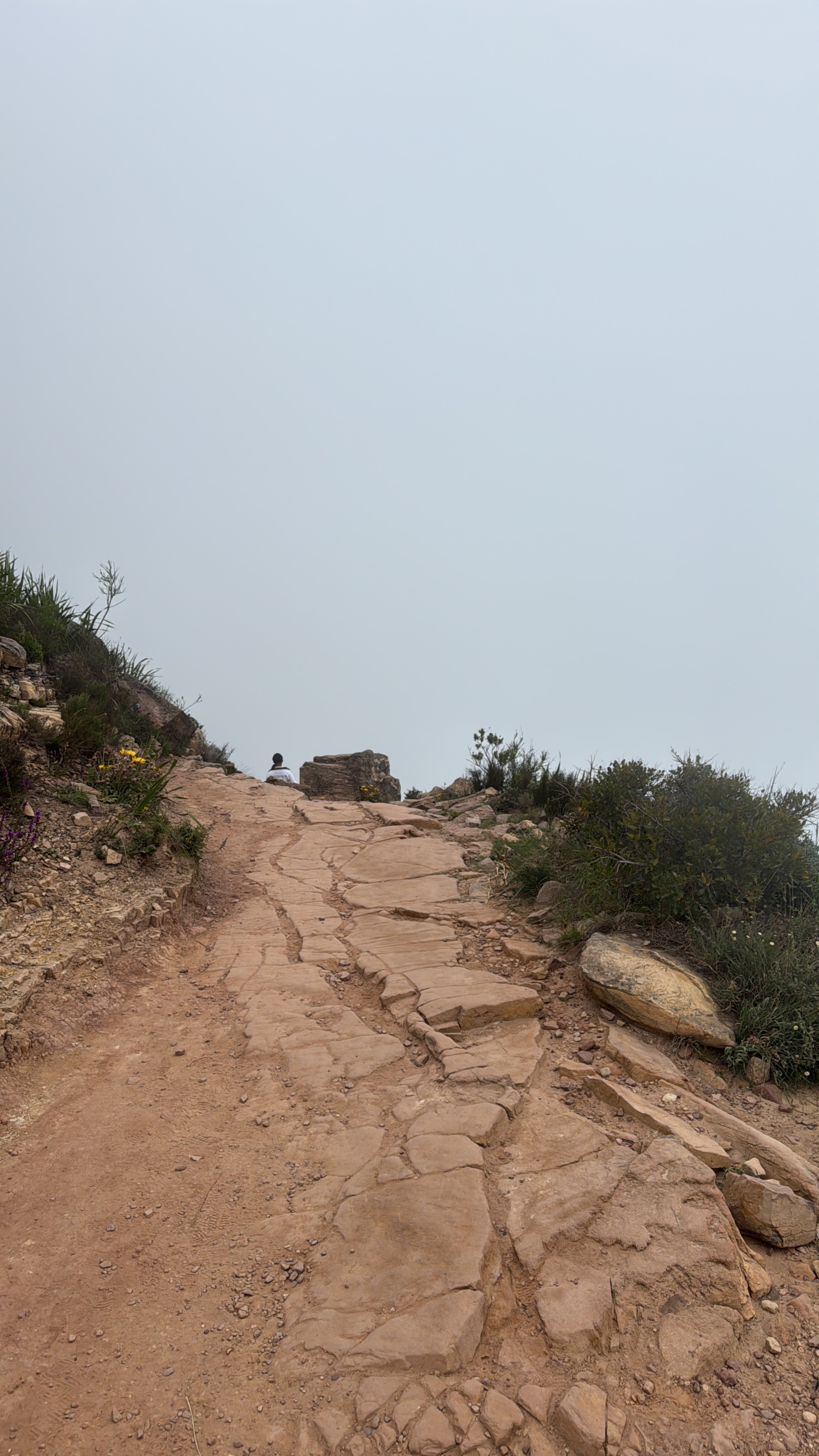 70AB02F3-0684-4477-AD73-0FC466254DD6