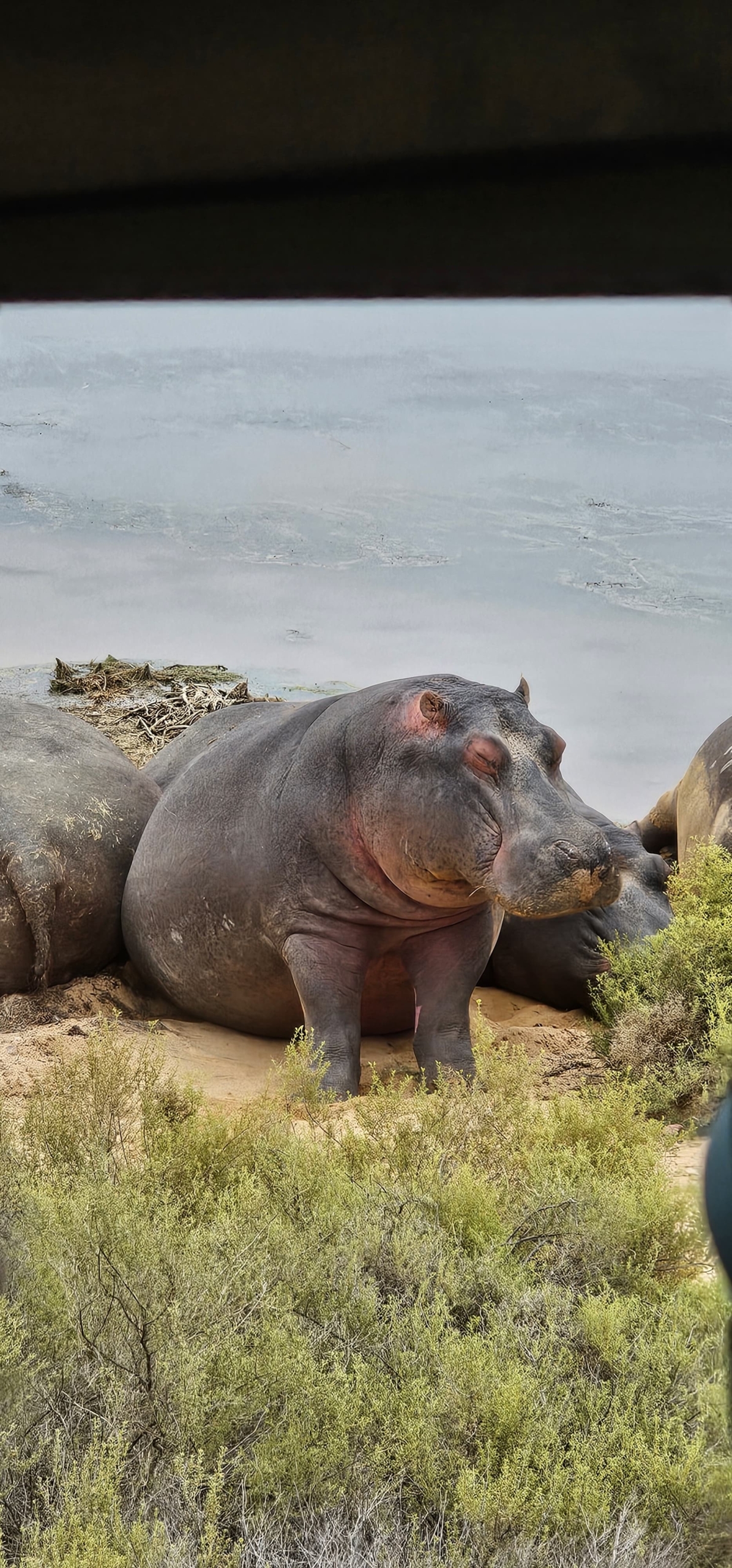 b3ed6548-1103-468a-a505-c61eabbd58ec