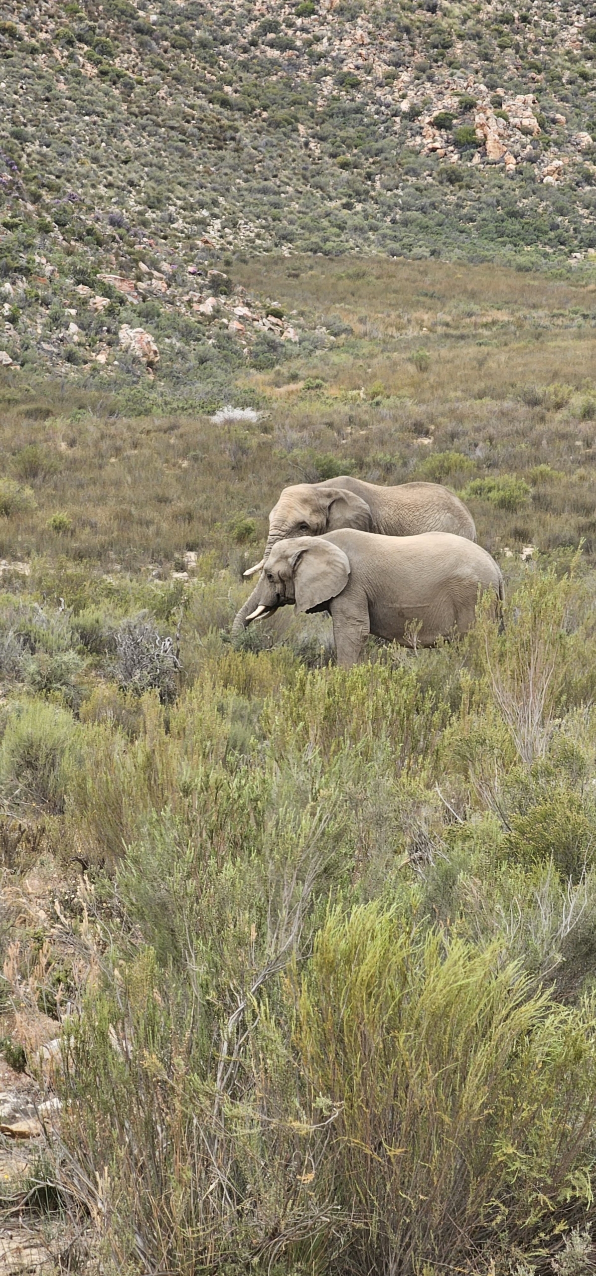 b437d591-fc7a-40e4-be6a-00b7caf6e533