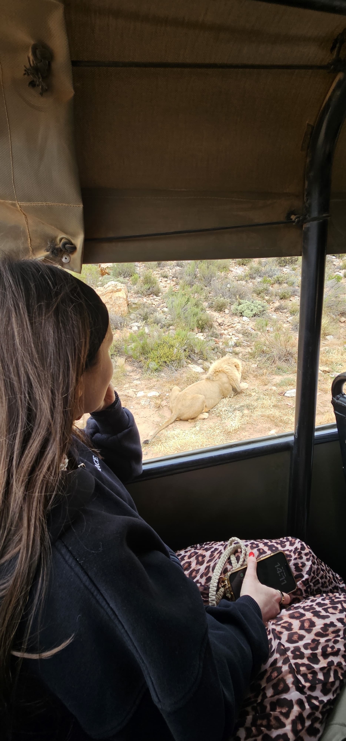 d1dcff2a-7ddb-4f56-b903-38359f619ac0